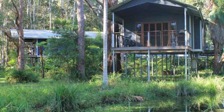 Diamond Waters Treehouse Resort 1 768x384