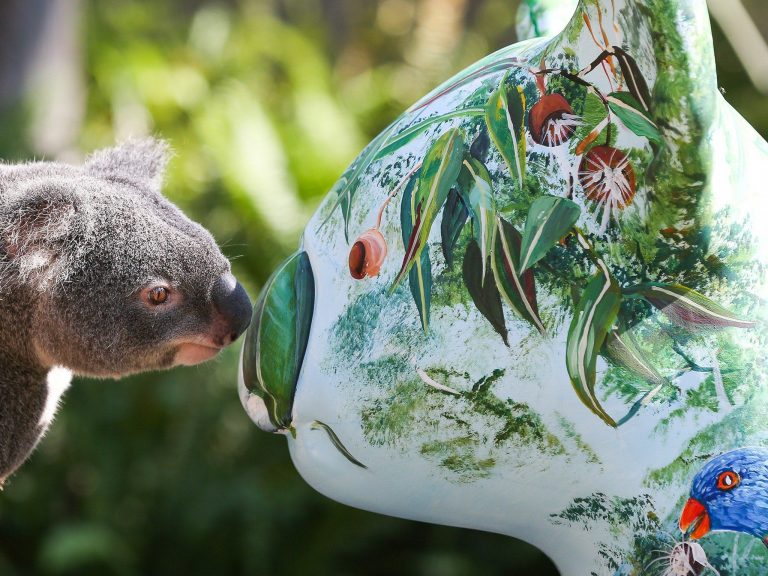 Hello Koalas Sculpture Trail 3 768x576