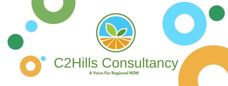 C2Hills Consultancy 1 768x292