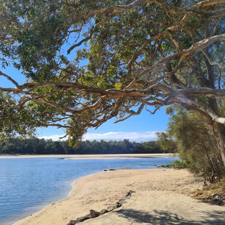 Lake Cathie Progress Association 1 768x768