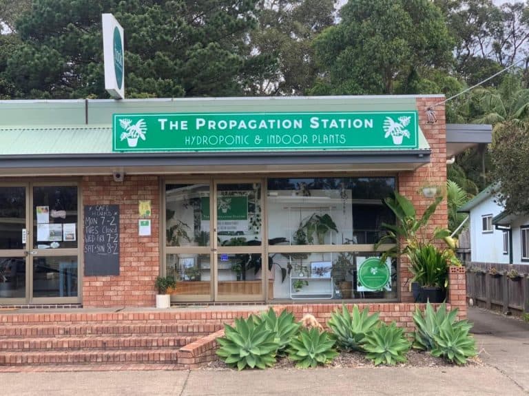 The Propagation Station 3 768x575