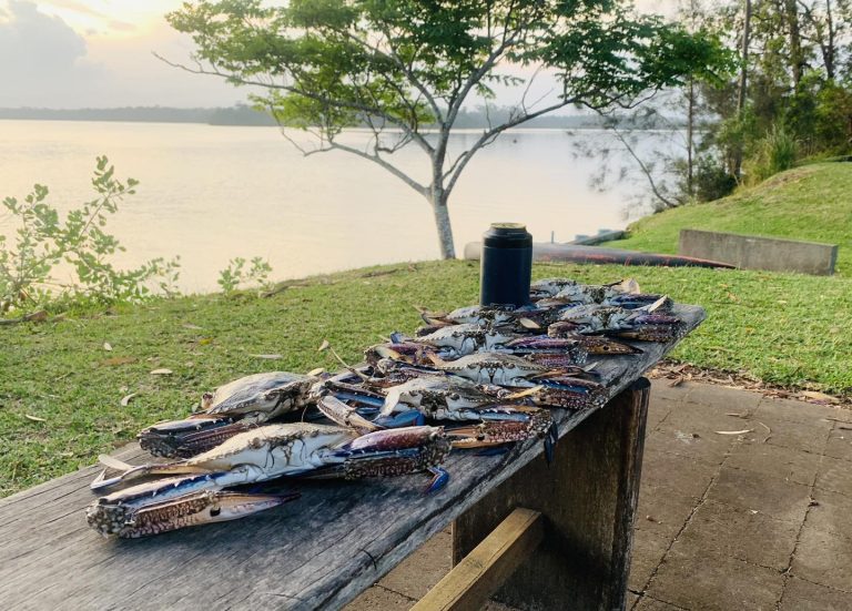 Ned Kellys Bait n Tackle 1 768x551