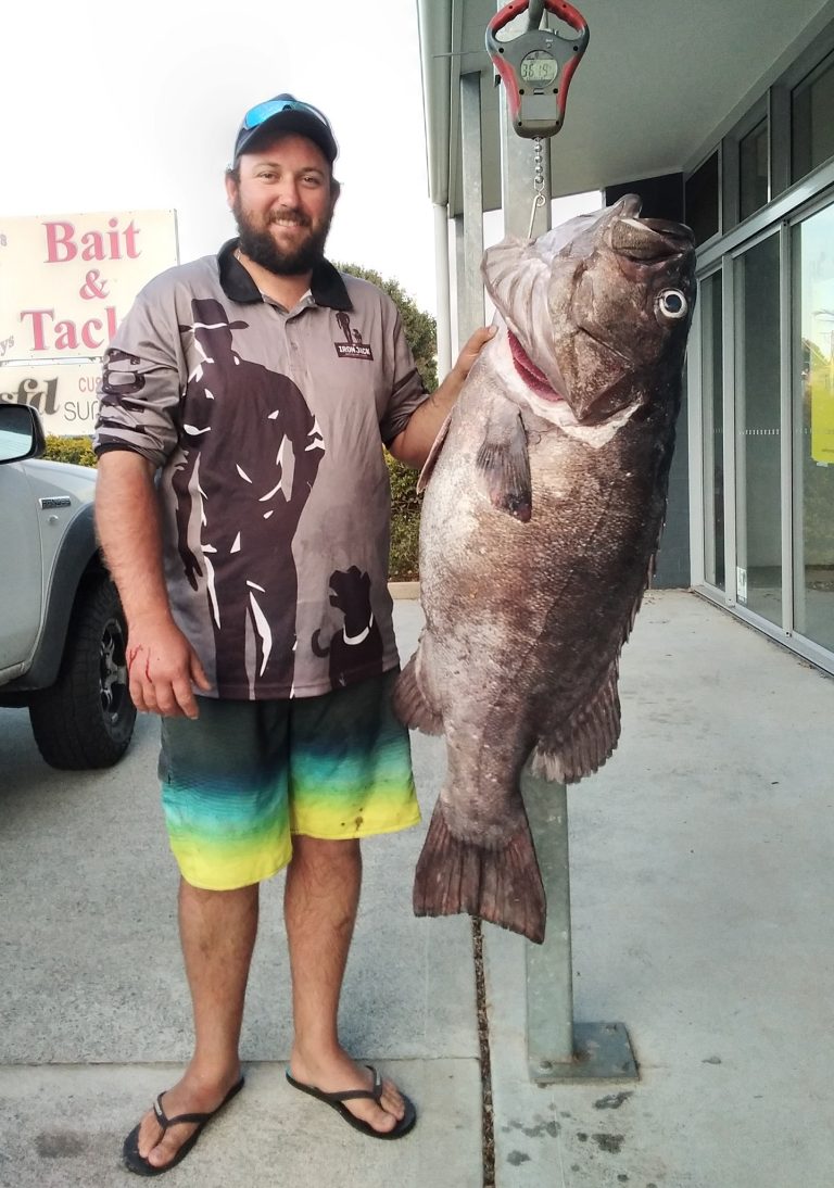 Ned Kellys Bait n Tackle 3 768x1094